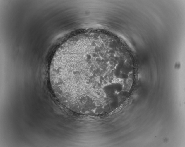 X0000101951063200808151248