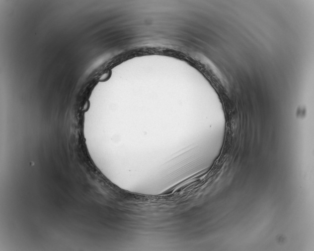 X0000101951064200808151248