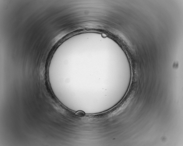 X0000101951065200808151247