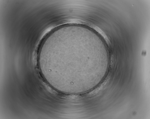 X0000101951067200808151247