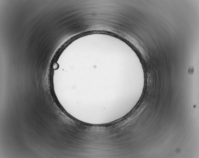 X0000101951068200808151247