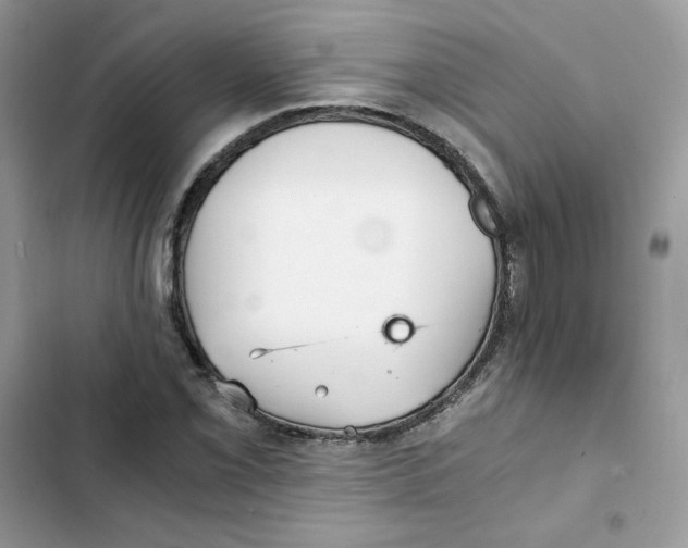 X0000101951069200808151247