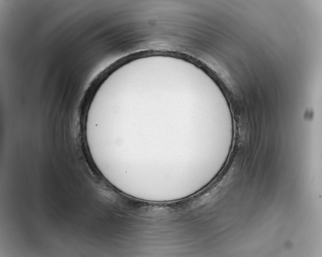 X0000101951070200808151247
