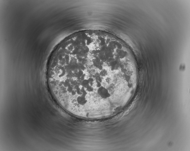 X0000101951071200808151247