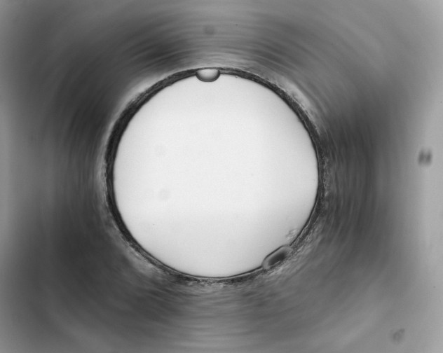 X0000101951072200808151247