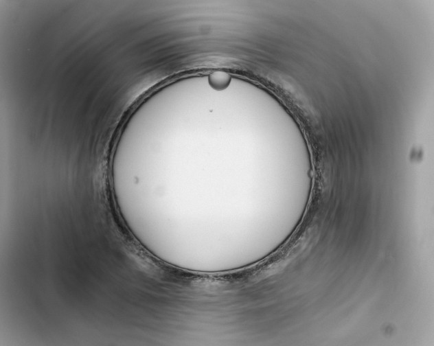 X0000101951073200808151247