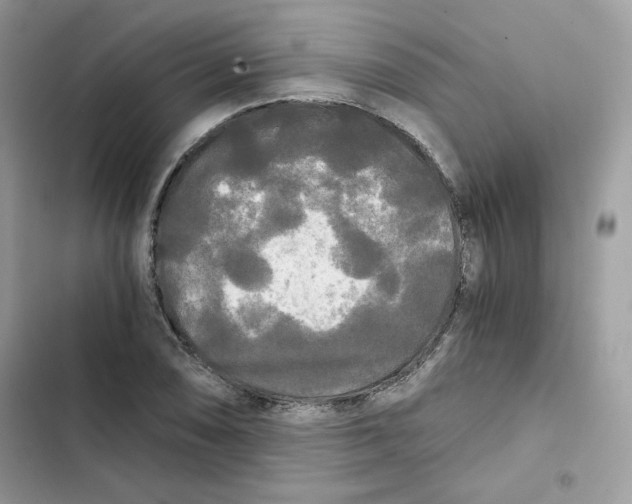 X0000101951074200808151247