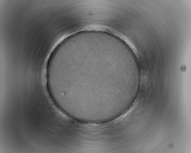 X0000101951075200808151247