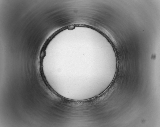 X0000101951076200808151247