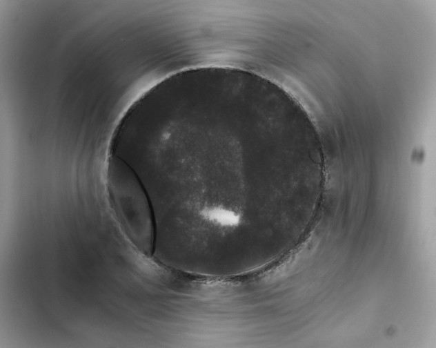 X0000101951077200808151247