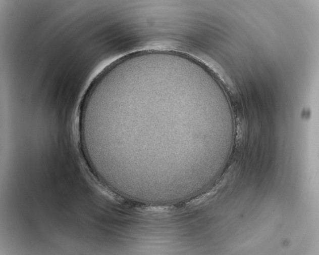 X0000101951078200808151247