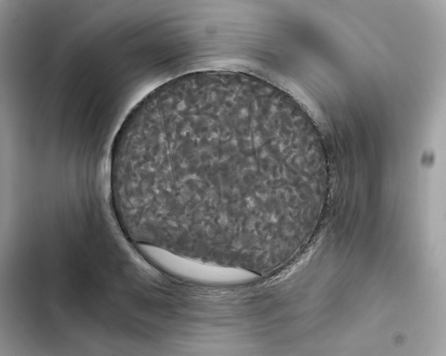 X0000101951079200808151247