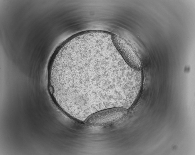 X0000101951080200808151247