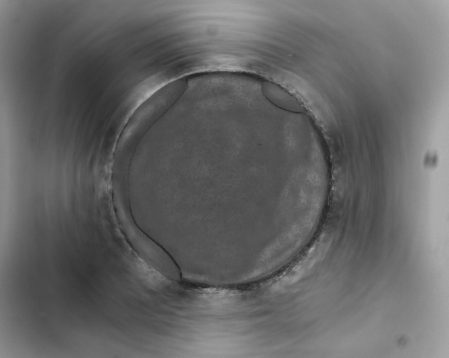 X0000101951081200808151247
