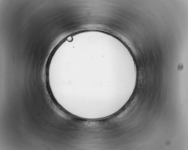 X0000101951082200808151247