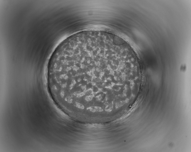 X0000101951083200808151247