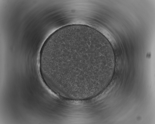 X0000101951084200808151247