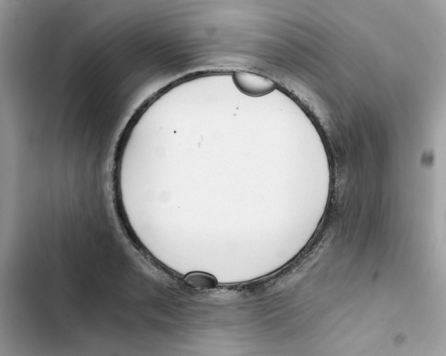 X0000101951085200808151247
