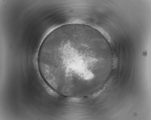 X0000101951086200808151247