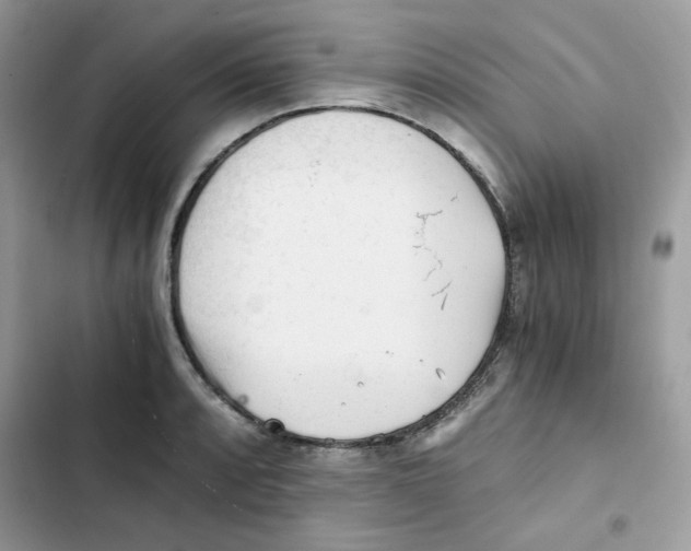 X0000101951088200808151247