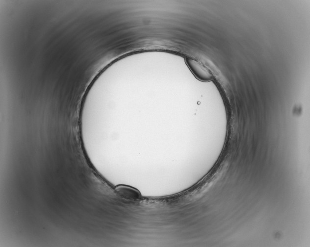 X0000101951089200808151247
