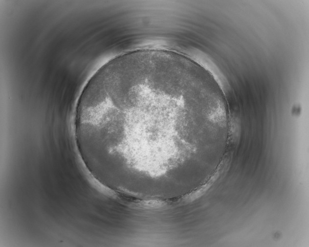 X0000101951090200808151247