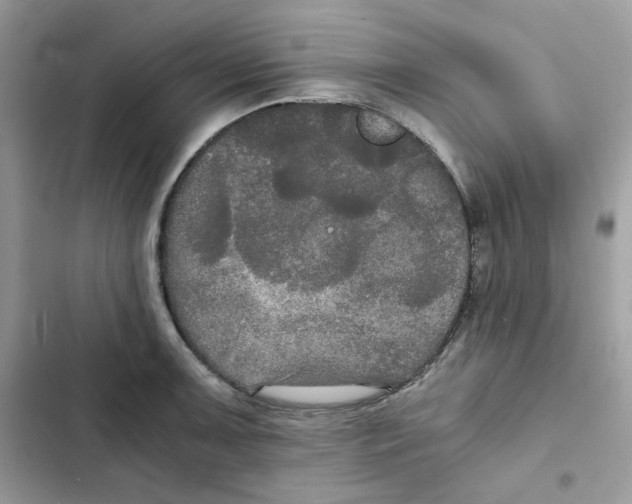X0000101951091200808151247