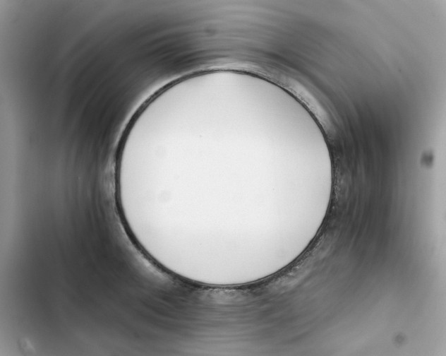 X0000101951092200808151247
