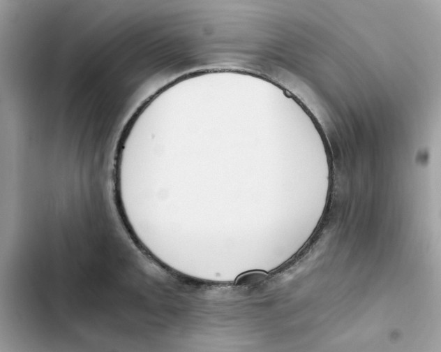 X0000101951093200808151247