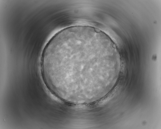 X0000101951094200808151247