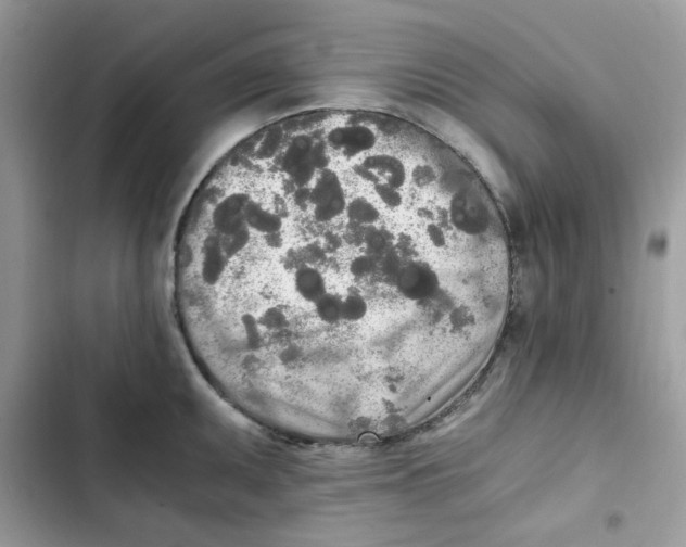 X0000101951095200808151247