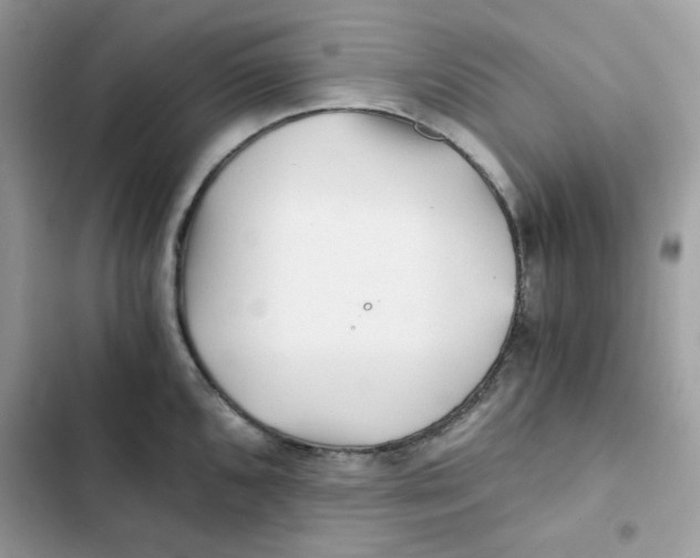 X0000101951096200808151247
