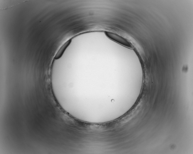 X0000101951097200808151247