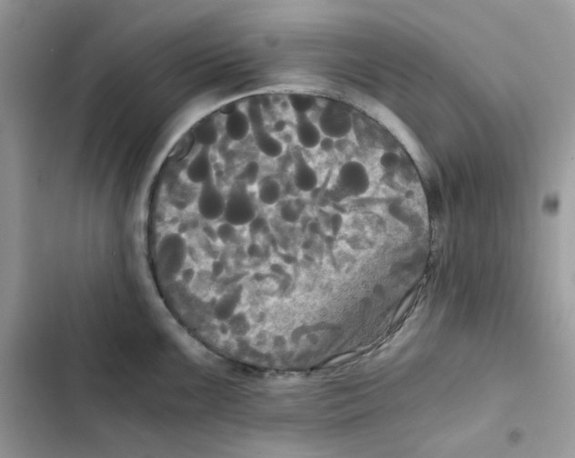 X0000101951099200808151247