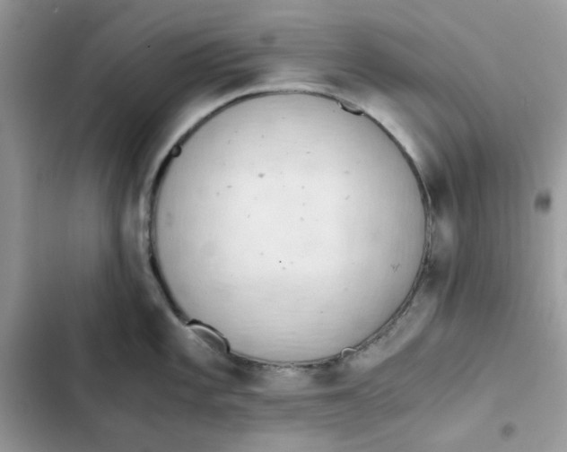 X0000101951101200808151247