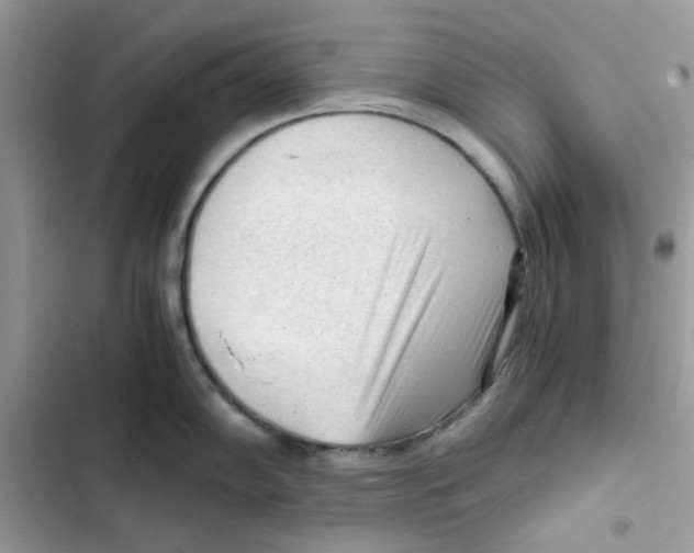 X0000101951102200808151247
