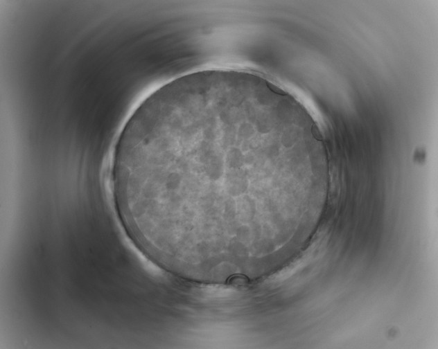 X0000101951103200808151247
