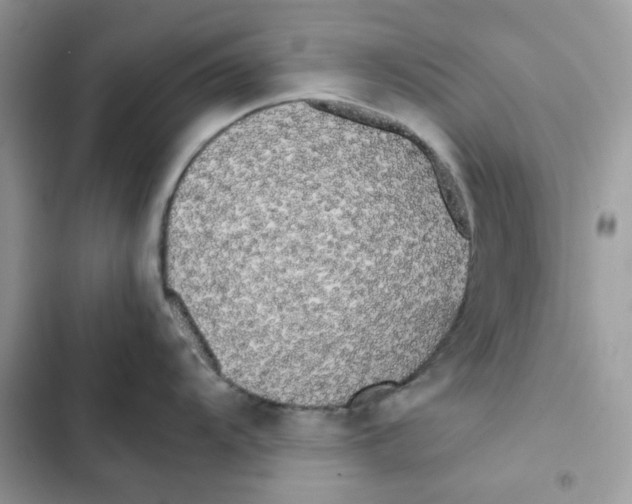 X0000101951104200808151247