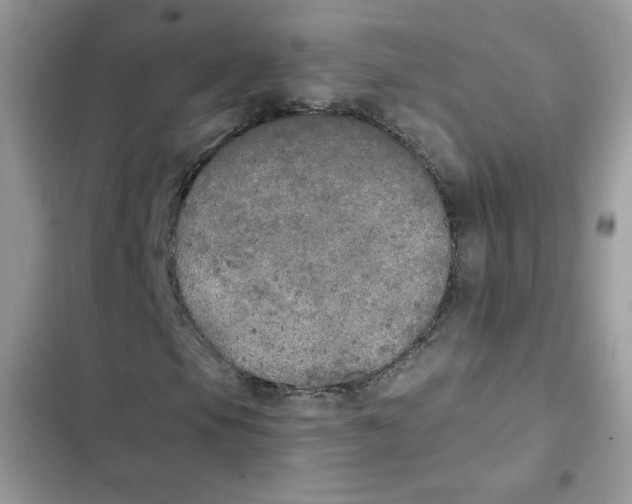 X0000101951105200808151246