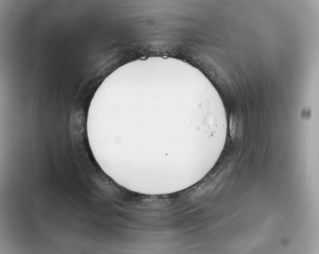 X0000101951107200808151246