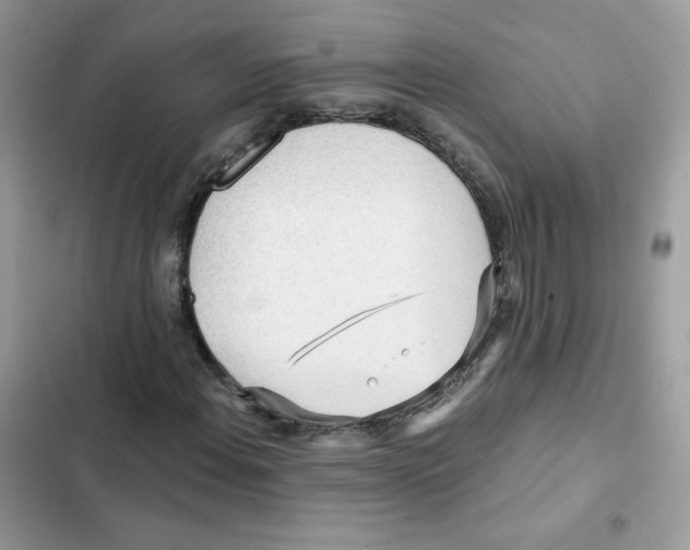 X0000101951108200808151246