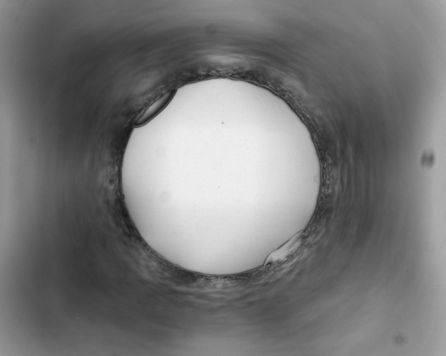 X0000101951109200808151246