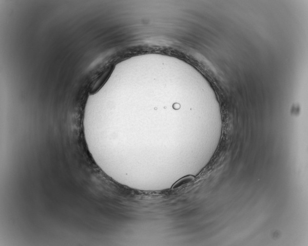 X0000101951110200808151246