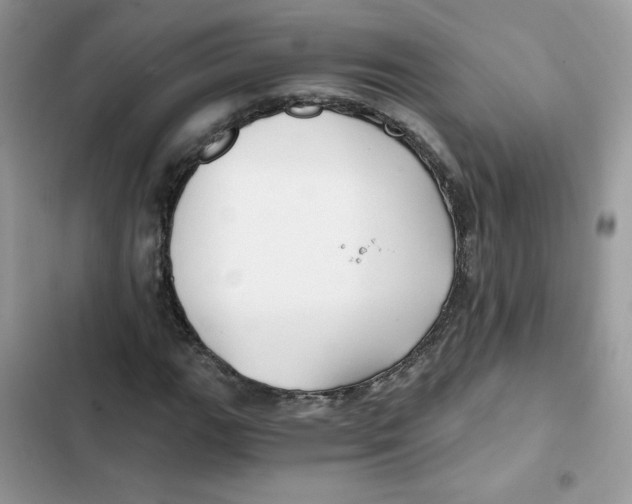 X0000101951111200808151246