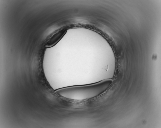 X0000101951112200808151246