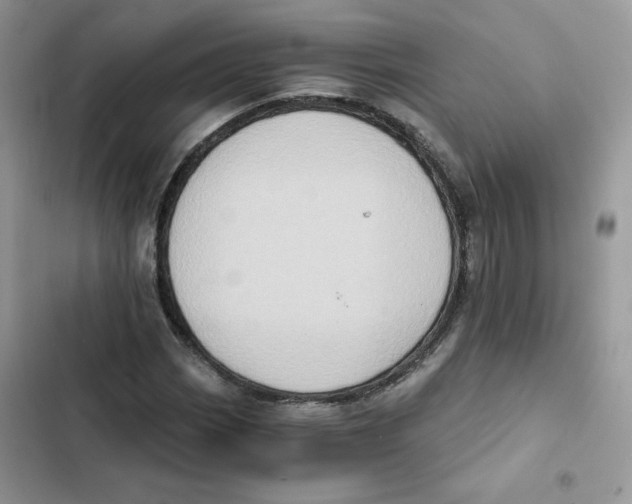X0000101951113200808151246