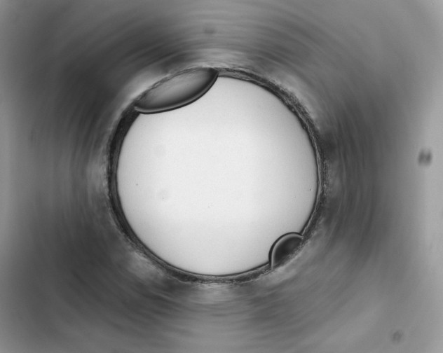 X0000101951114200808151246