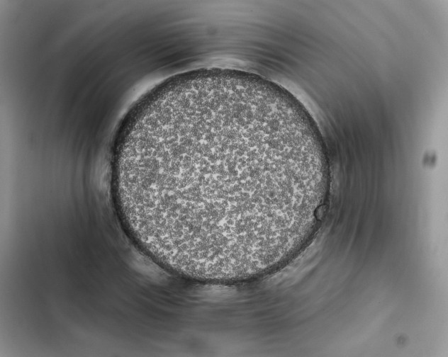 X0000101951115200808151246