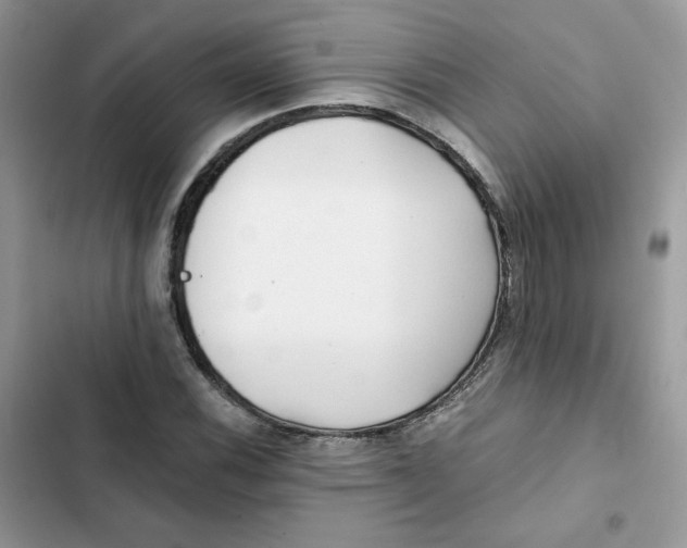 X0000101951116200808151246