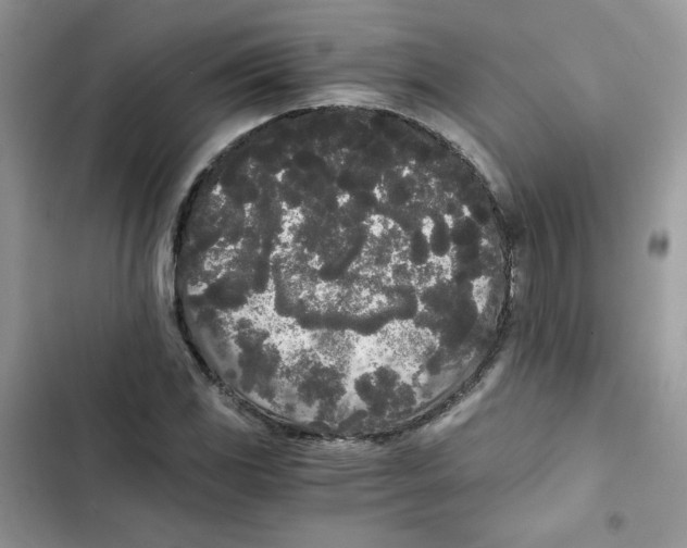 X0000101951117200808151246